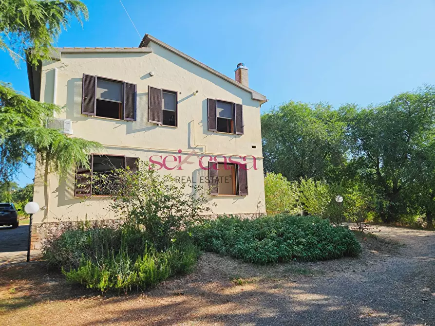 Immagine 2 di Rustico / casale in vendita  a Campagnatico