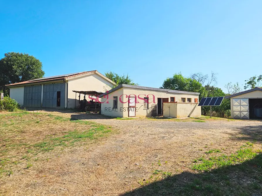 Immagine 18 di Rustico / casale in vendita  a Campagnatico