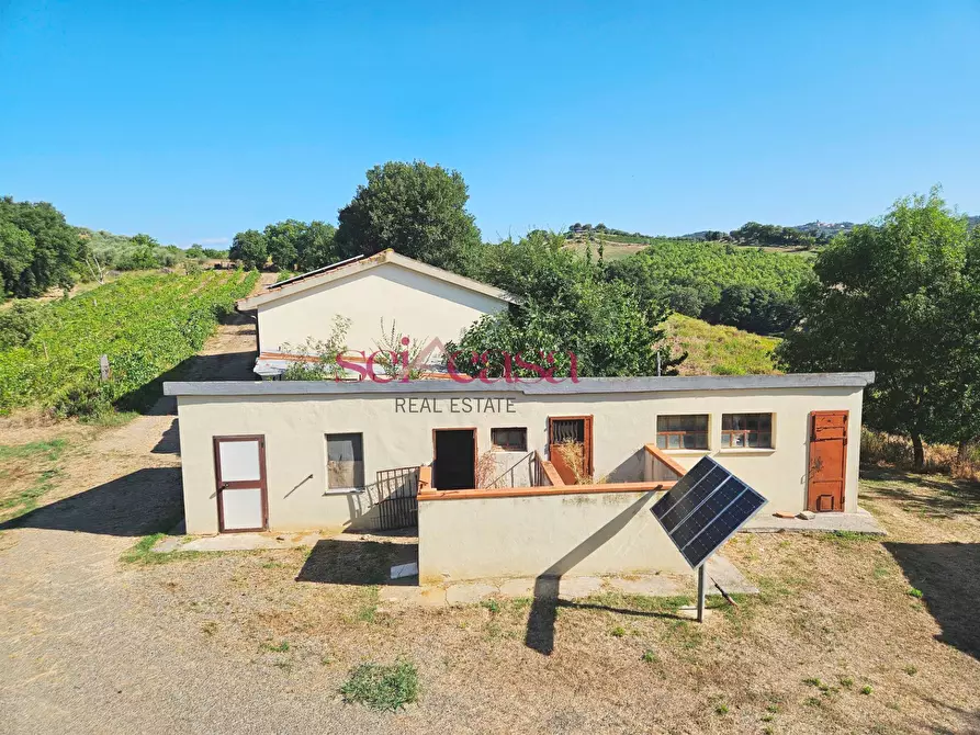 Immagine 31 di Rustico / casale in vendita  a Campagnatico