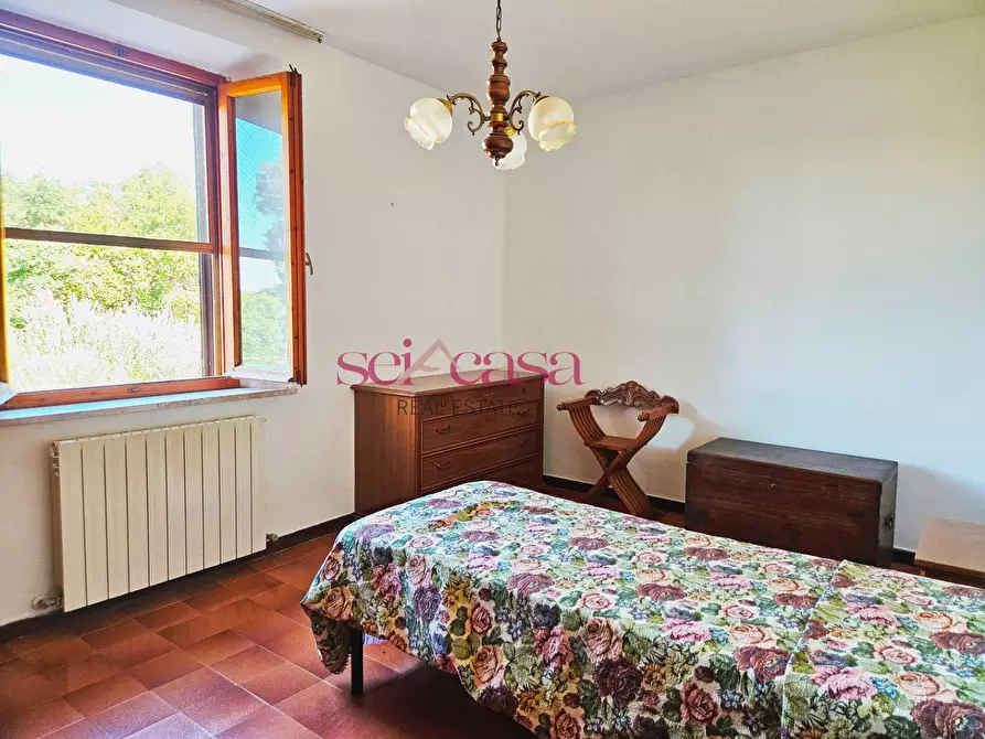 Immagine 29 di Rustico / casale in vendita  a Campagnatico