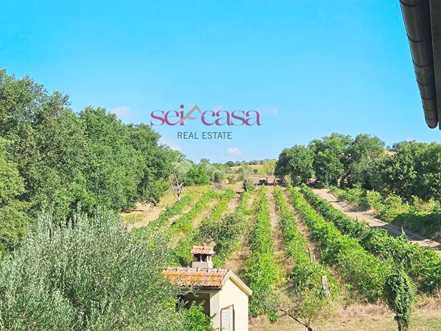 Immagine 32 di Rustico / casale in vendita  a Campagnatico