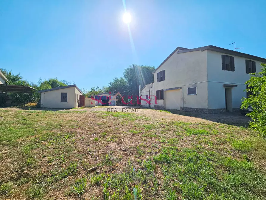 Immagine 37 di Rustico / casale in vendita  a Campagnatico