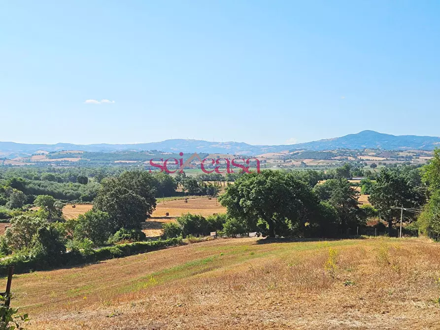 Immagine 38 di Rustico / casale in vendita  a Campagnatico