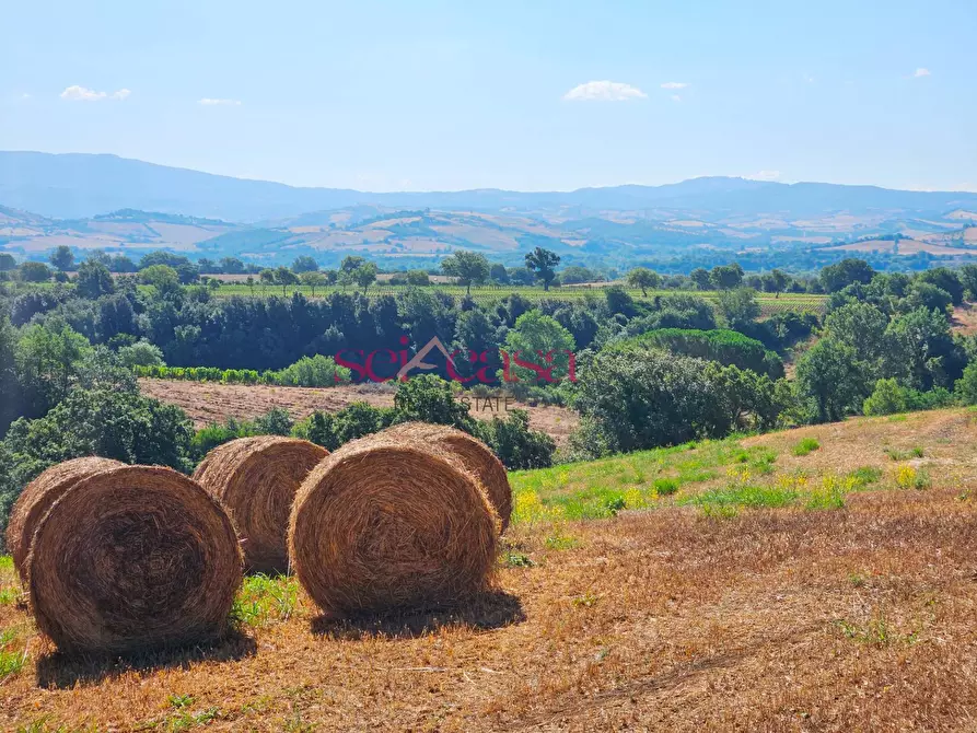 Immagine 39 di Rustico / casale in vendita  a Campagnatico