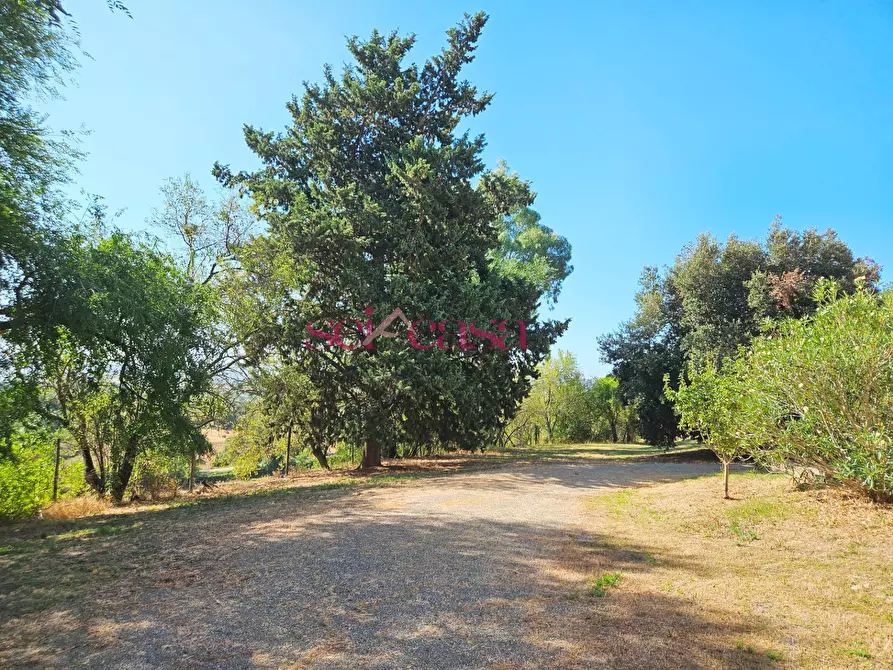 Immagine 40 di Rustico / casale in vendita  a Campagnatico