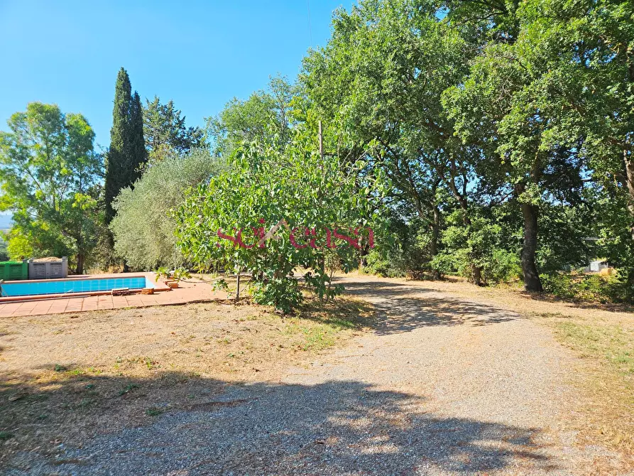 Immagine 4 di Rustico / casale in vendita  a Campagnatico