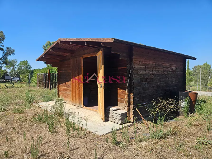 Immagine 10 di Terreno agricolo in vendita  a Grosseto