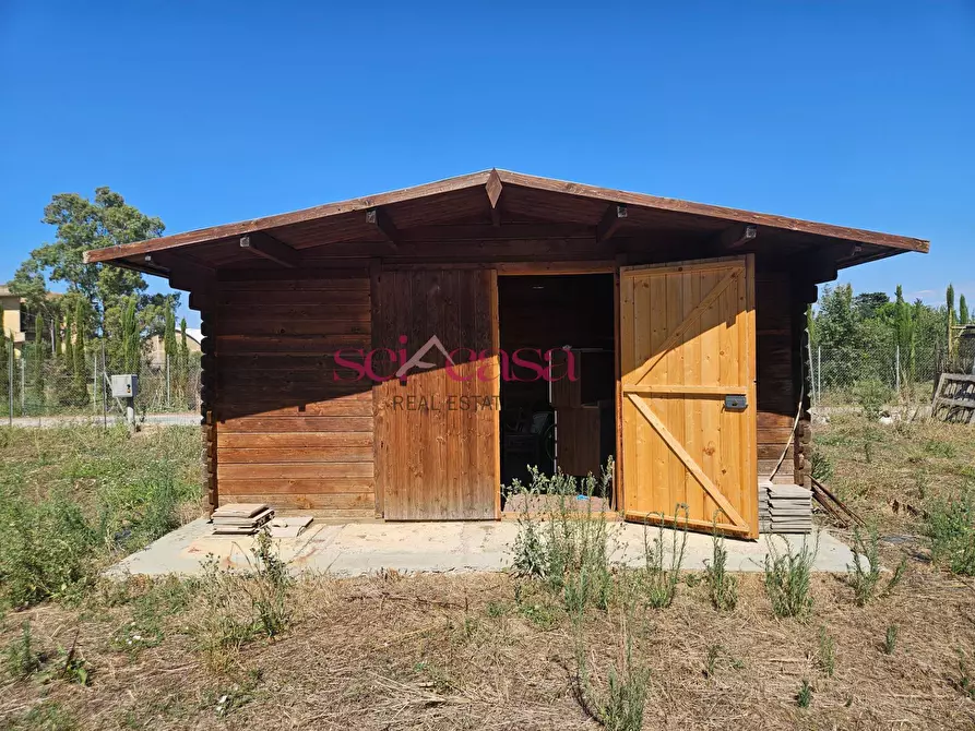 Immagine 11 di Terreno agricolo in vendita  a Grosseto