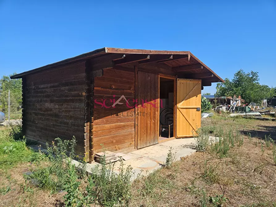 Immagine 12 di Terreno agricolo in vendita  a Grosseto