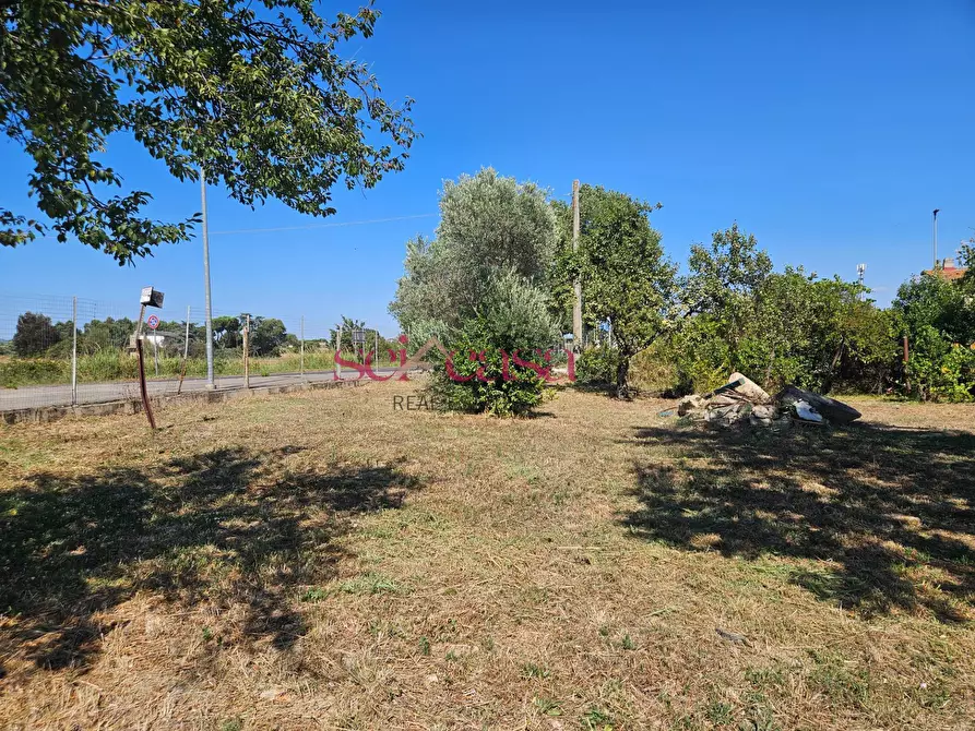 Immagine 7 di Terreno residenziale in vendita  a Grosseto