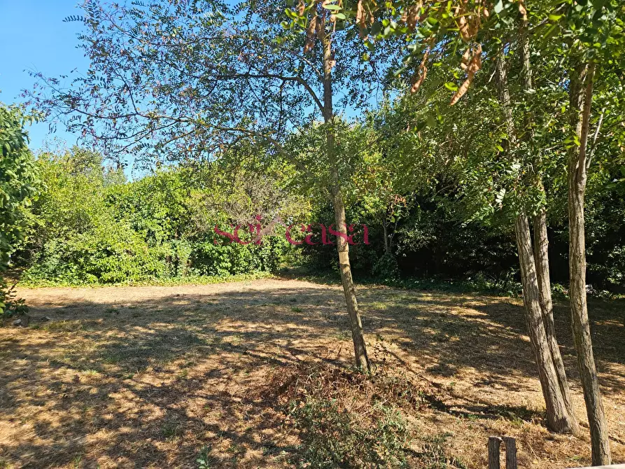 Immagine 5 di Terreno residenziale in vendita  a Grosseto