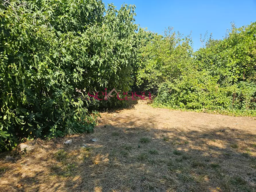 Immagine 6 di Terreno residenziale in vendita  a Grosseto