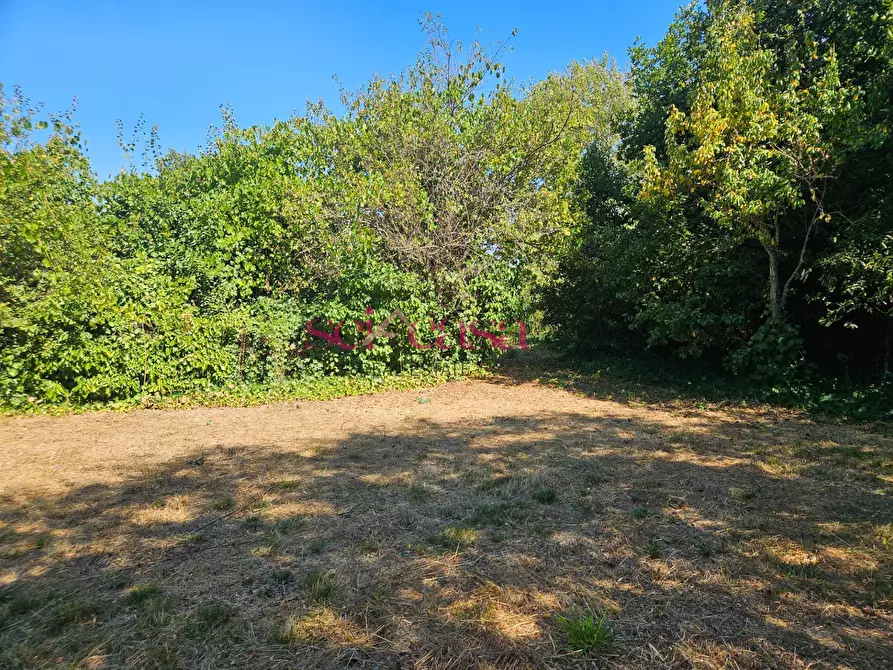 Immagine 1 di Terreno residenziale in vendita  a Grosseto