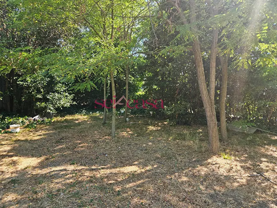 Immagine 3 di Terreno residenziale in vendita  a Grosseto