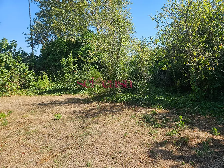 Immagine 2 di Terreno residenziale in vendita  a Grosseto