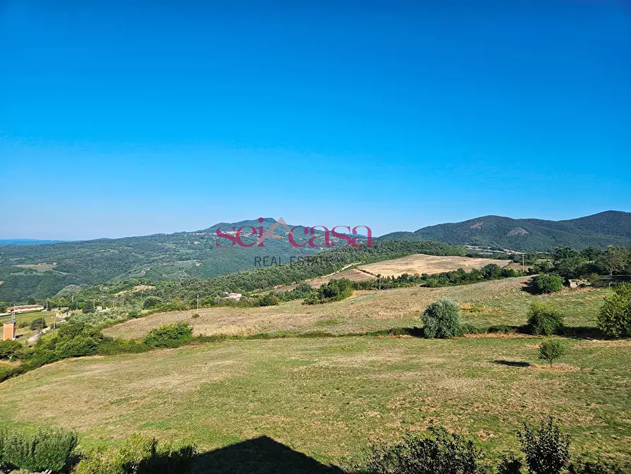 Immagine 6 di Villa in vendita  a Roccastrada