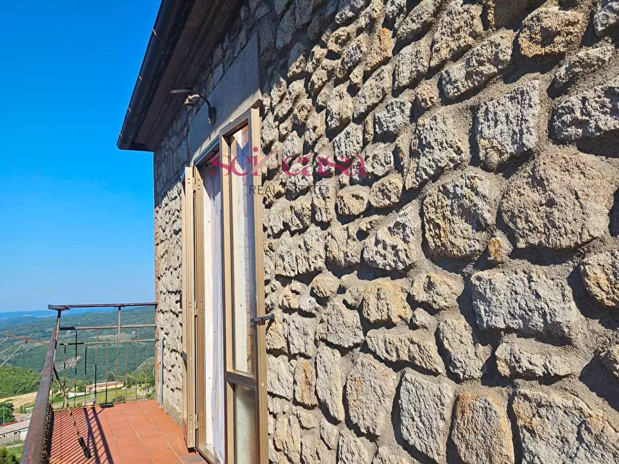 Immagine 7 di Villa in vendita  a Roccastrada