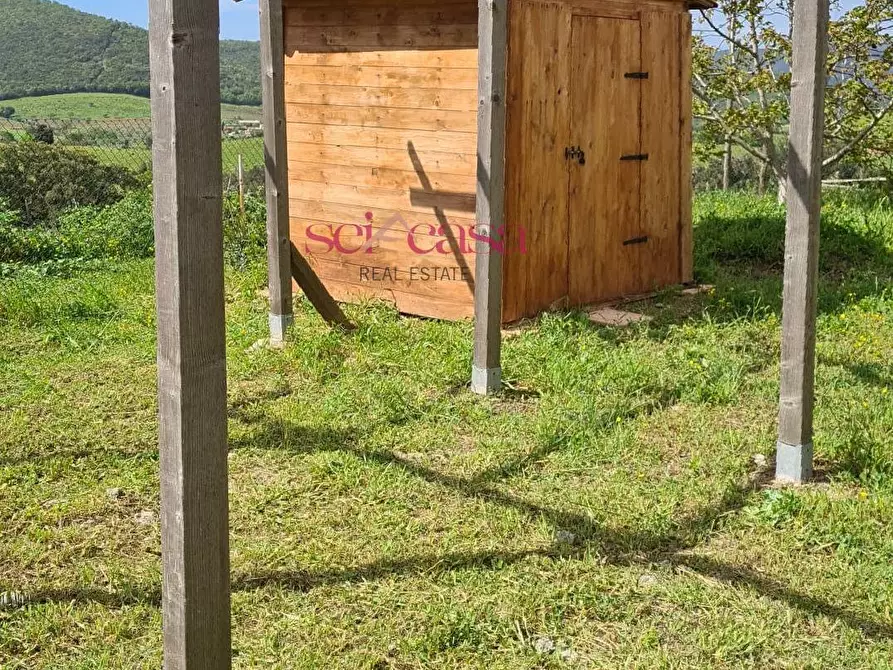 Immagine 16 di Casa indipendente in vendita  a Magliano In Toscana