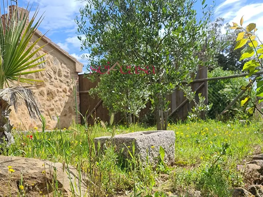 Immagine 5 di Casa indipendente in vendita  a Magliano In Toscana