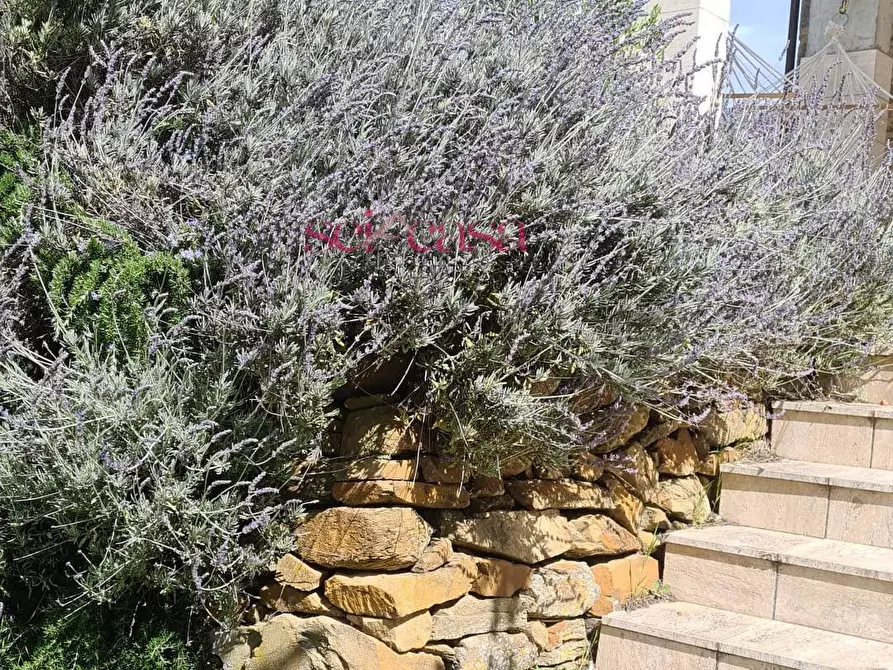 Immagine 6 di Casa indipendente in vendita  a Magliano In Toscana