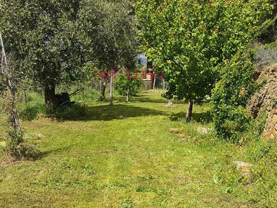 Immagine 7 di Casa indipendente in vendita  a Magliano In Toscana
