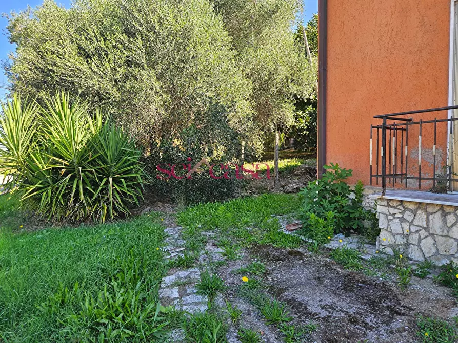 Immagine 9 di Casa indipendente in vendita  a Campagnatico