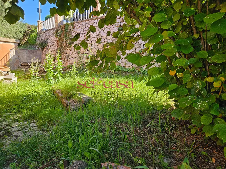 Immagine 11 di Casa indipendente in vendita  a Campagnatico