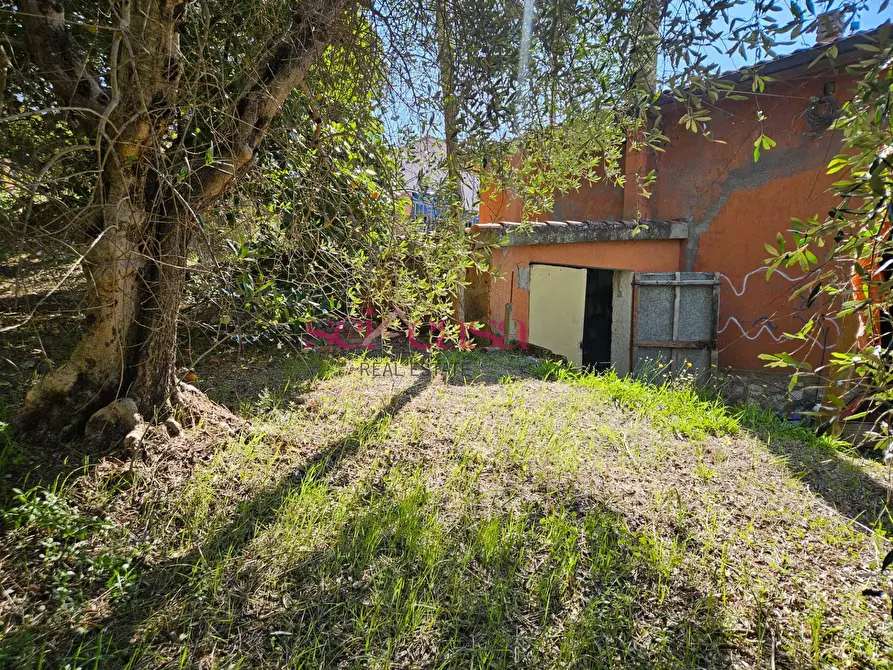 Immagine 12 di Casa indipendente in vendita  a Campagnatico