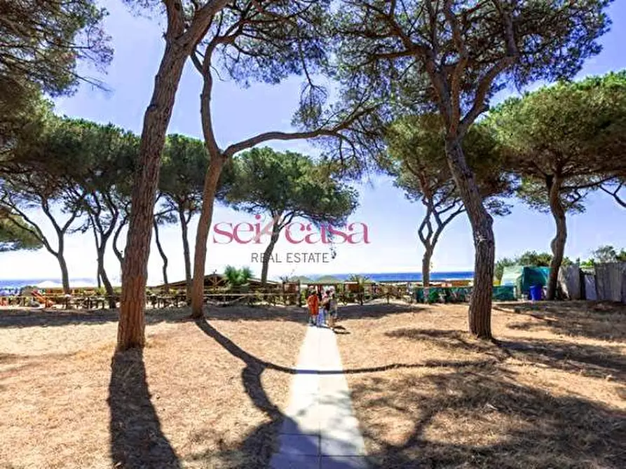 Immagine 4 di Appartamento in vendita  a Follonica