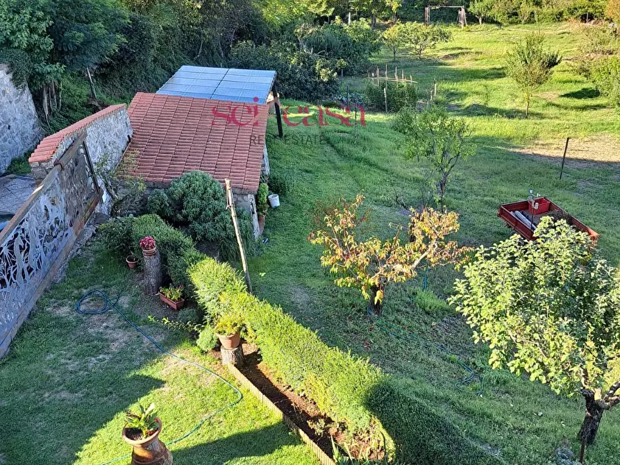 Immagine 4 di Villa in vendita  a Roccastrada