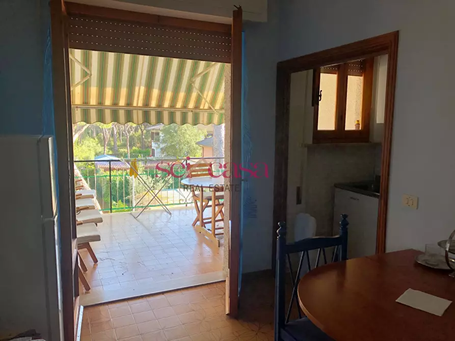 Immagine 3 di Appartamento in vendita  a Grosseto