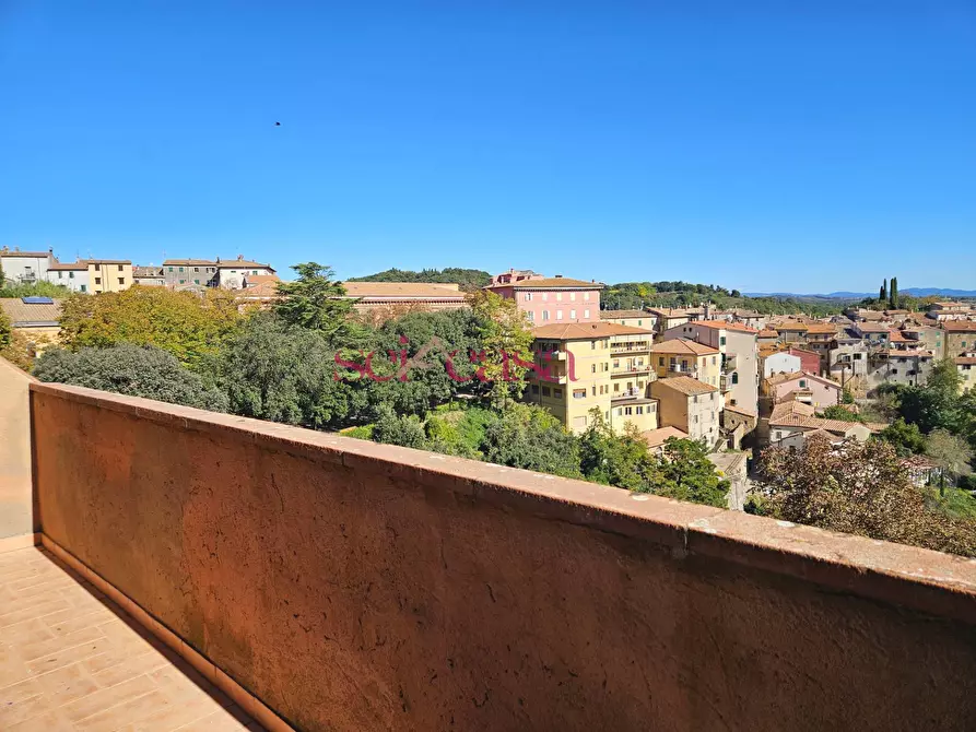 Immagine 5 di Appartamento in vendita  a Scansano