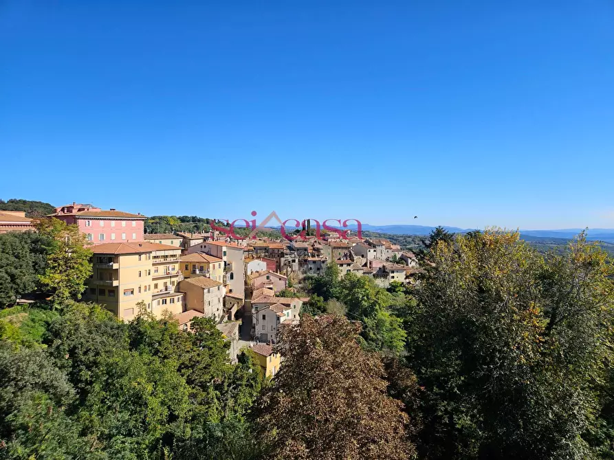 Immagine 6 di Appartamento in vendita  a Scansano