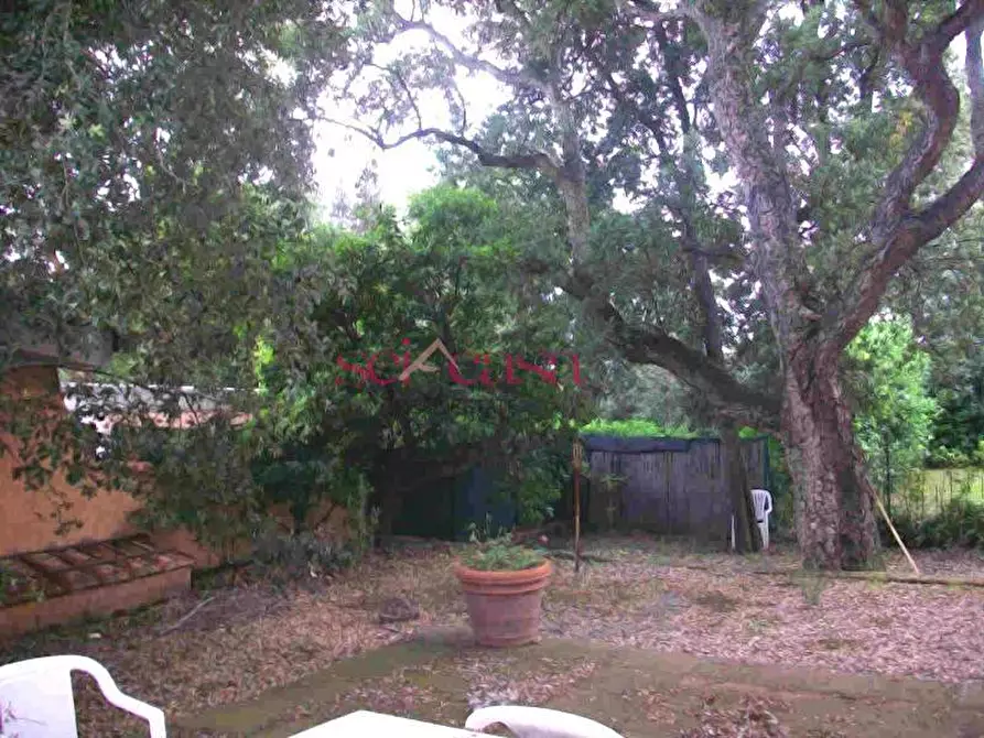 Immagine 8 di Villa in vendita  a Castiglione Della Pescaia