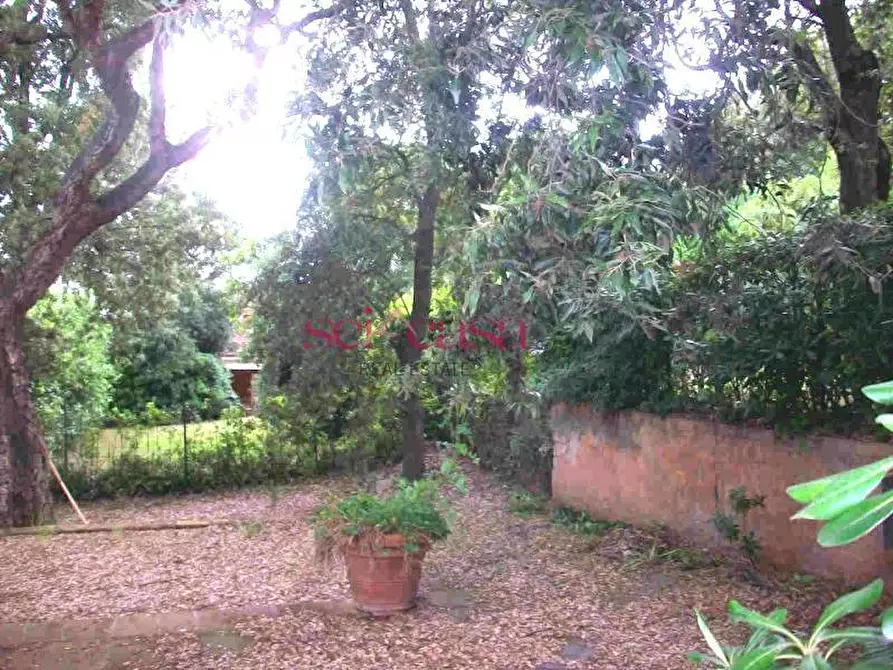 Immagine 9 di Villa in vendita  a Castiglione Della Pescaia