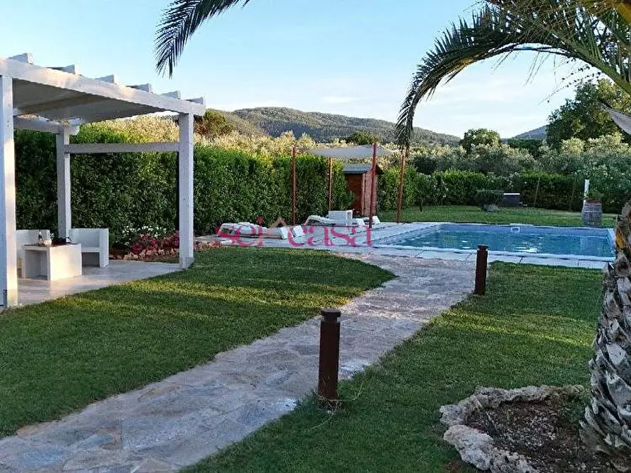 Immagine 6 di Villa in vendita  a Gavorrano