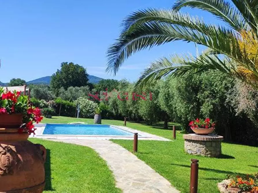 Immagine 5 di Villa in vendita  a Gavorrano