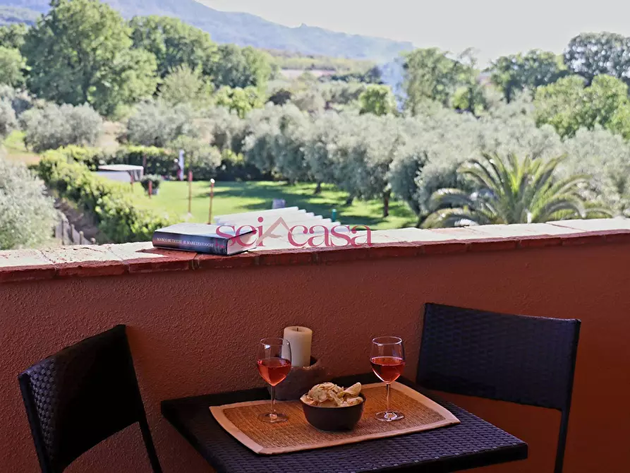 Immagine 34 di Villa in vendita  a Gavorrano