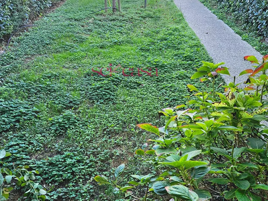 Immagine 5 di Casa semindipendente in vendita  a Grosseto