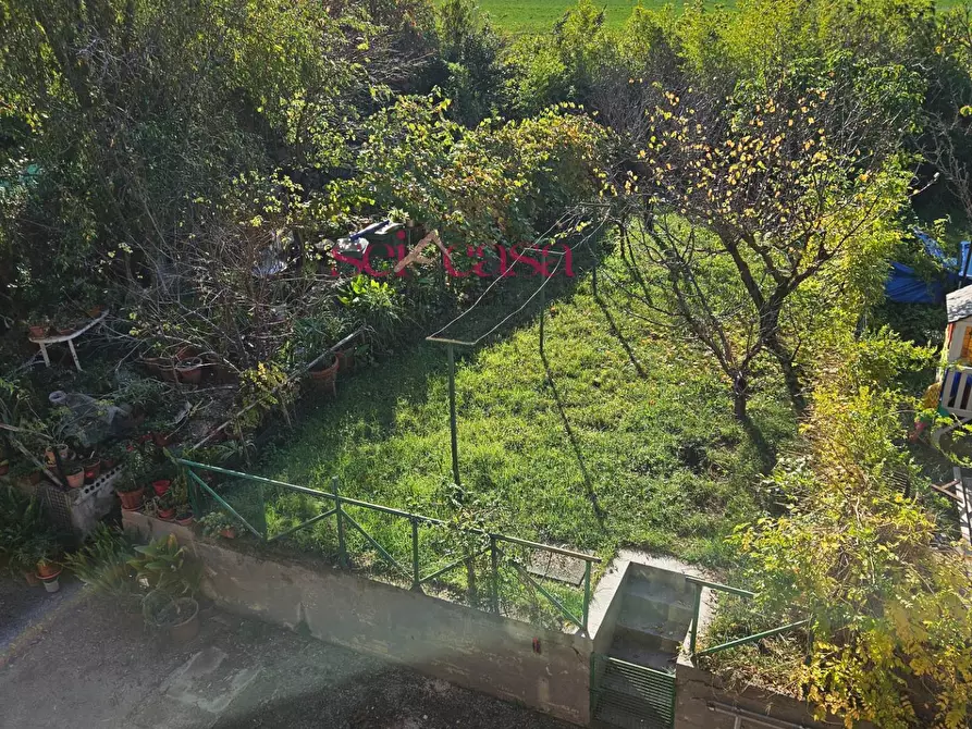 Immagine 24 di Casa semindipendente in vendita  a Grosseto