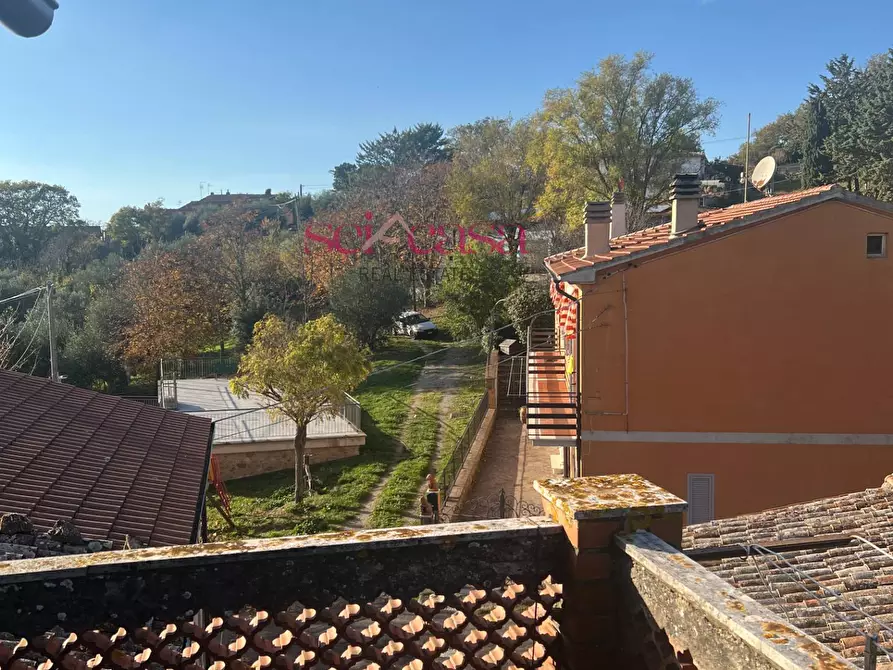 Immagine 7 di Appartamento in vendita  a Roccalbegna