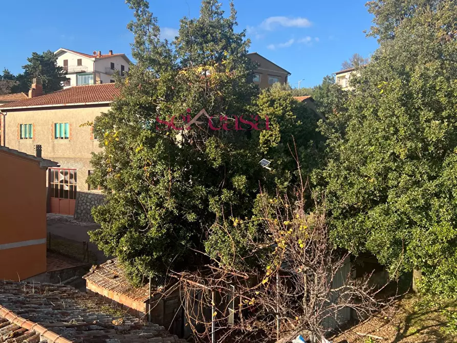 Immagine 8 di Appartamento in vendita  a Roccalbegna