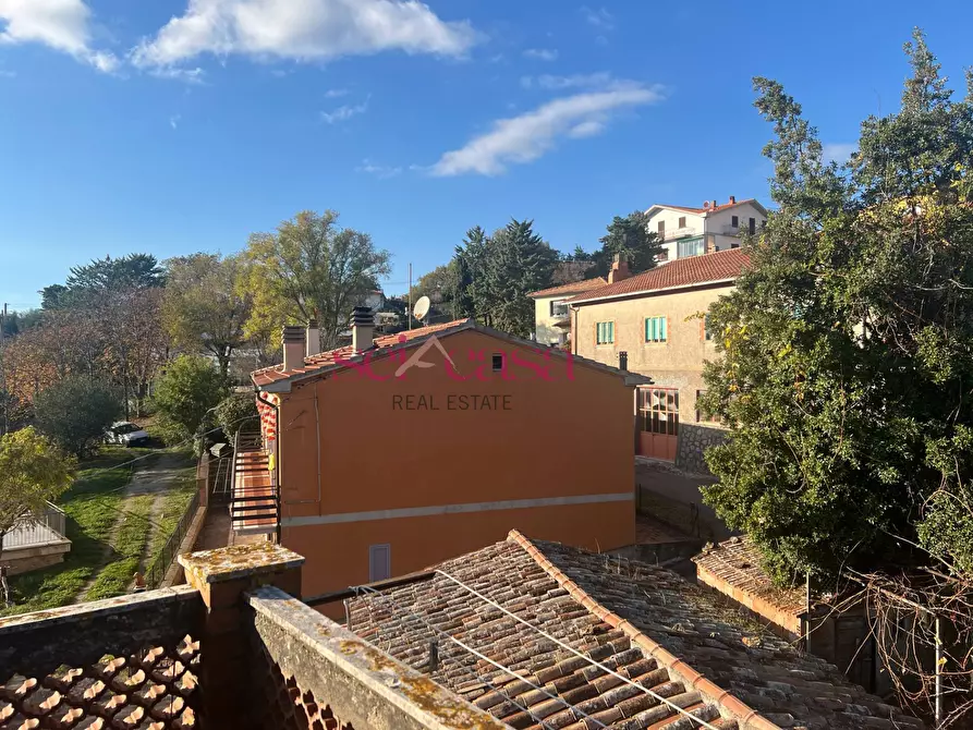 Immagine 9 di Appartamento in vendita  a Roccalbegna