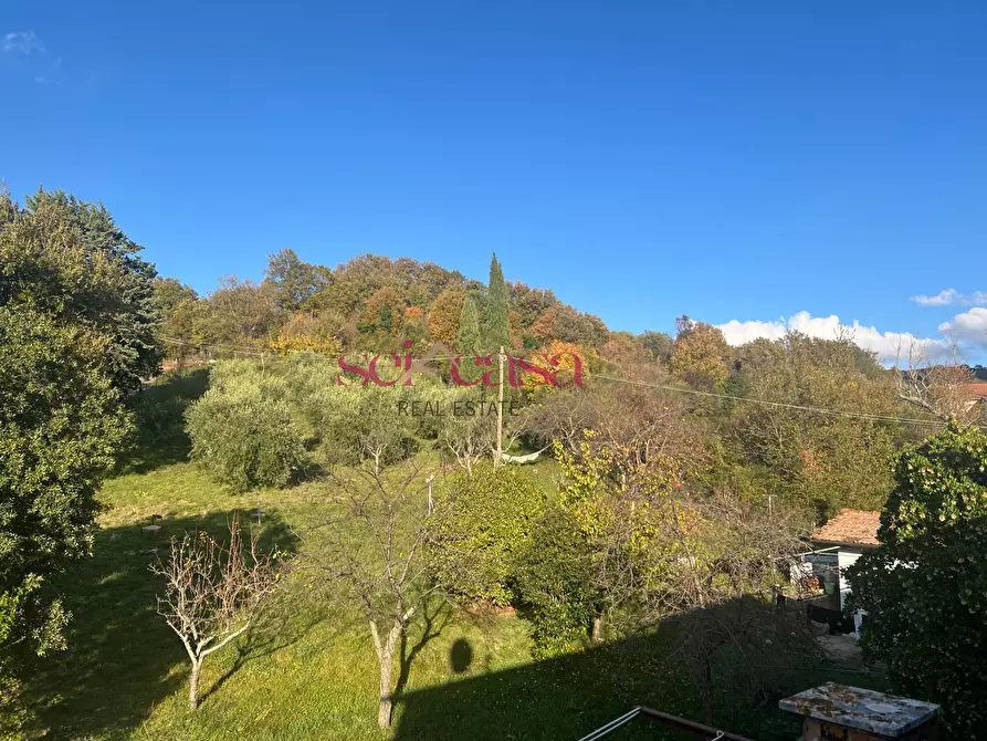 Immagine 10 di Appartamento in vendita  a Roccalbegna