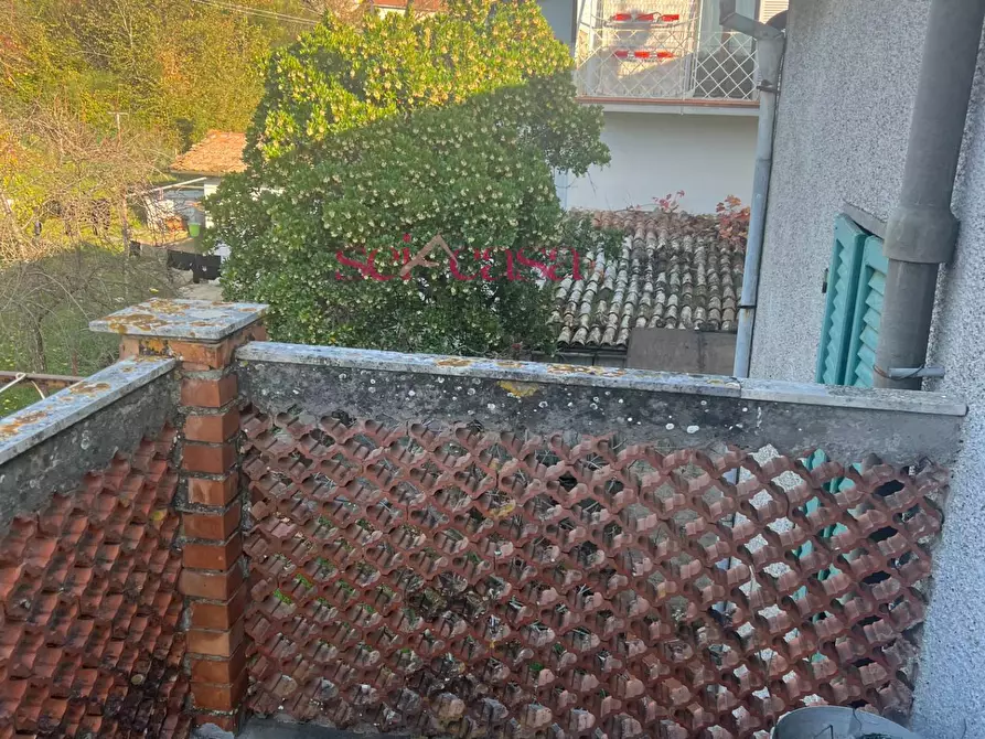 Immagine 11 di Appartamento in vendita  a Roccalbegna