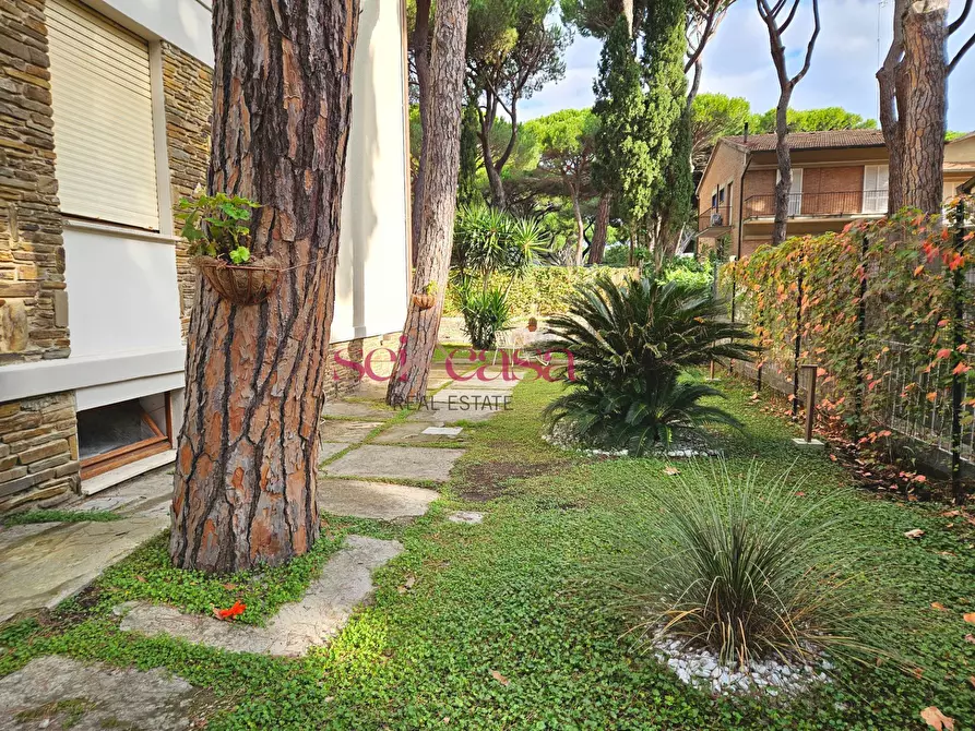 Immagine 27 di Appartamento in vendita  a Grosseto