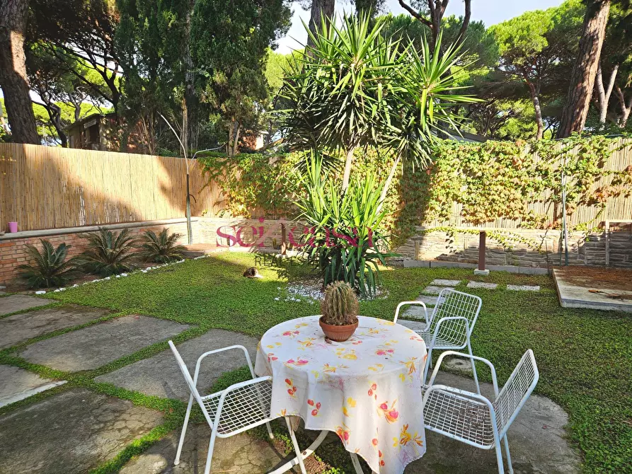 Immagine 24 di Appartamento in vendita  a Grosseto