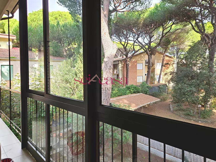 Immagine 23 di Appartamento in vendita  a Grosseto