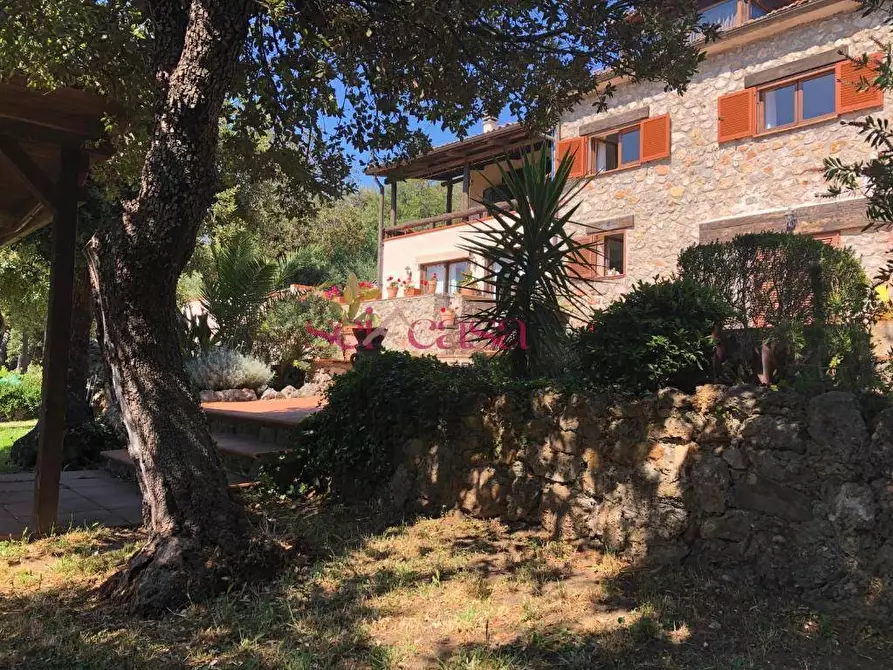 Immagine 2 di Villa in vendita  a Orbetello