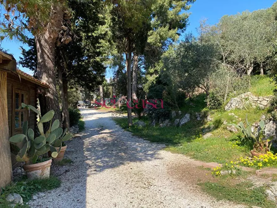 Immagine 50 di Villa in vendita  a Orbetello